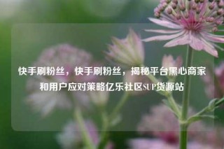 快手刷粉丝，快手刷粉丝，揭秘平台黑心商家和用户应对策略亿乐社区SUP货源站