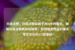 抖音点赞，抖音点赞自助平台24小时服务，揭秘抖音点赞背后的秘密，如何提高作品的曝光率亿乐社区SUP货源站