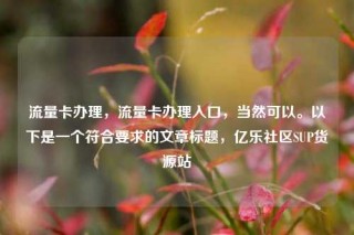 流量卡办理，流量卡办理入口，当然可以。以下是一个符合要求的文章标题，亿乐社区SUP货源站