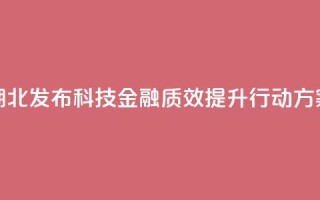 湖北发布科技金融质效提升行动方案