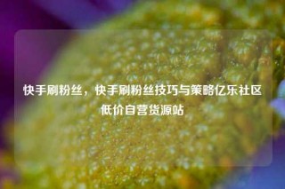 快手刷粉丝，快手刷粉丝技巧与策略亿乐社区低价自营货源站