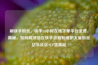 刷快手粉丝，快手24小时在线下单平台免费，揭秘，如何高效地在快手获取和维护大量粉丝亿乐社区SUP货源站
