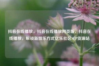 抖音在线播放，抖音在线播放网页版，抖音在线播放，解锁新娱乐方式亿乐社区SUP货源站