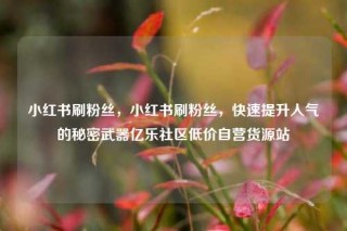 小红书刷粉丝，小红书刷粉丝，快速提升人气的秘密武器亿乐社区低价自营货源站