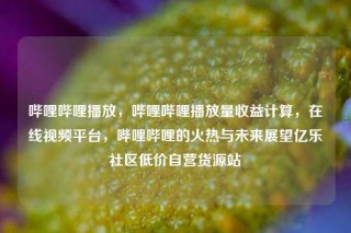 哔哩哔哩播放，哔哩哔哩播放量收益计算，在线视频平台，哔哩哔哩的火热与未来展望亿乐社区低价自营货源站