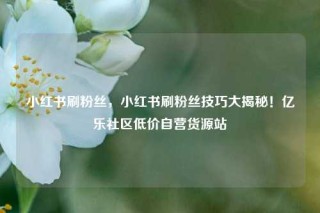 小红书刷粉丝，小红书刷粉丝技巧大揭秘！亿乐社区低价自营货源站