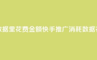 快手推广消耗数据里花费金额(快手推广消耗数据：花费金额大揭秘)