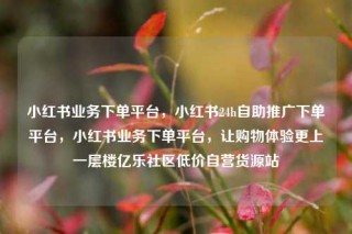 小红书业务下单平台，小红书24h自助推广下单平台，小红书业务下单平台，让购物体验更上一层楼亿乐社区低价自营货源站