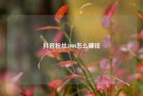 抖音粉丝1000怎么赚钱