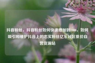抖音粉丝，抖音粉丝如何快速增加到1000，如何吸引和维护抖音上的忠实粉丝亿乐社区低价自营货源站