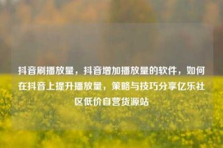 抖音刷播放量，抖音增加播放量的软件，如何在抖音上提升播放量，策略与技巧分享亿乐社区低价自营货源站