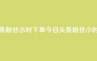 今日头条粉丝24小时下单(今日头条粉丝24小时内抢购)