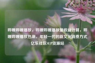 哔哩哔哩播放，哔哩哔哩播放量收益计算，哔哩哔哩播放热潮，年轻一代的新文化消费方式亿乐社区SUP货源站