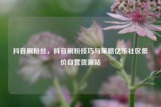 抖音刷粉丝，抖音刷粉技巧与策略亿乐社区低价自营货源站