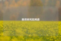 麻将研究院频道