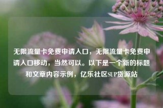 无限流量卡免费申请入口，无限流量卡免费申请入口移动，当然可以。以下是一个新的标题和文章内容示例，亿乐社区SUP货源站