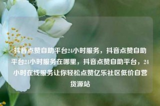 抖音点赞自助平台24小时服务，抖音点赞自助平台24小时服务在哪里，抖音点赞自助平台，24小时在线服务让你轻松点赞亿乐社区低价自营货源站