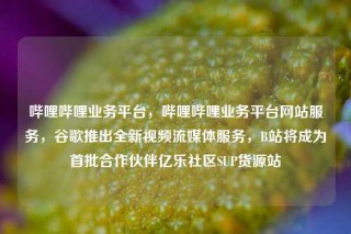 哔哩哔哩业务平台，哔哩哔哩业务平台网站服务，谷歌推出全新视频流媒体服务，B站将成为首批合作伙伴亿乐社区SUP货源站