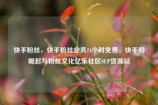快手粉丝，快手粉丝业务24小时免费，快手的崛起与粉丝文化亿乐社区SUP货源站