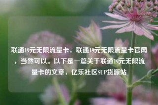 联通19元无限流量卡，联通19元无限流量卡官网，当然可以。以下是一篇关于联通19元无限流量卡的文章，亿乐社区SUP货源站