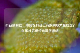 抖音刷粉丝，如何在抖音上有效刷取大量粉丝？亿乐社区低价自营货源站