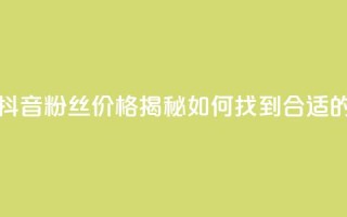 抖音粉丝的价格 - 抖音粉丝价格揭秘：如何找到合适的购买方式！