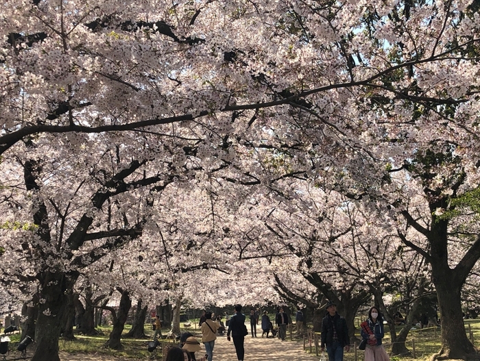 花开之处，便是故地  第21张