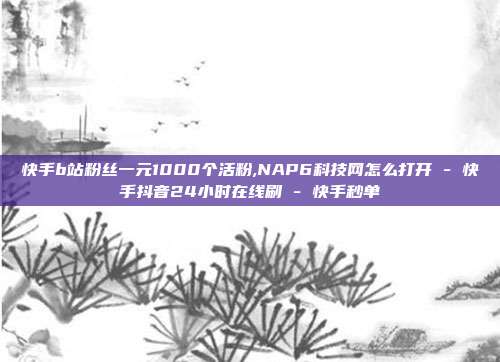 快手b站粉丝一元1000个活粉,NAP6科技网怎么打开 - 快手抖音24小时在线刷 快手秒单  第1张