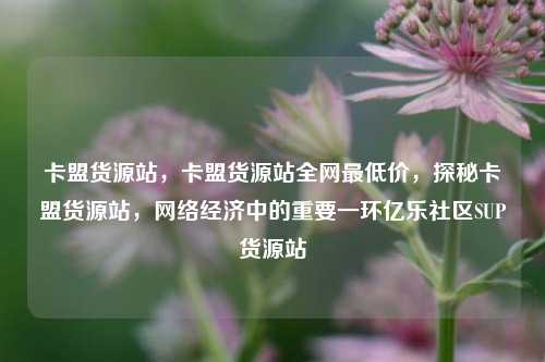 卡盟货源站，卡盟货源站全网最低价，探秘卡盟货源站，网络经济中的重要一环亿乐社区SUP货源站  第1张