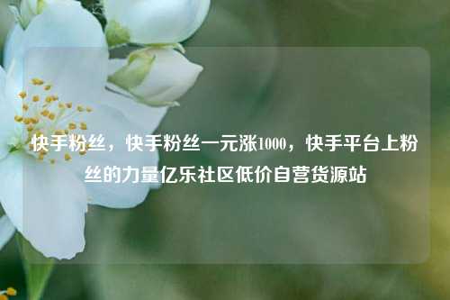 快手粉丝，快手粉丝一元涨1000，快手平台上粉丝的力量亿乐社区低价自营货源站  第1张