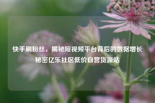 快手刷粉丝，揭秘短视频平台背后的数据增长秘密亿乐社区低价自营货源站  第1张