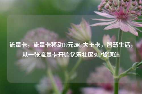 流量卡，流量卡移动19元200g大王卡，智慧生活，从一张流量卡开始亿乐社区SUP货源站  第1张