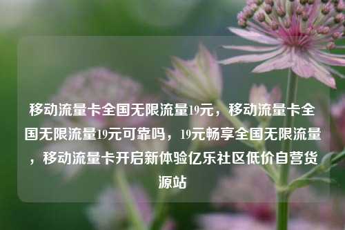 移动流量卡全国无限流量19元，移动流量卡全国无限流量19元可靠吗，19元畅享全国无限流量，移动流量卡开启新体验亿乐社区低价自营货源站  第1张