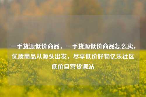 一手货源低价商品，一手货源低价商品怎么卖，优质商品从源头出发，尽享低价好物亿乐社区低价自营货源站  第1张
