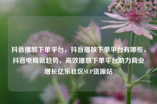 抖音播放下单平台，抖音播放下单平台有哪些，抖音电商新趋势，高效播放下单平台助力商业增长亿乐社区SUP货源站  第1张