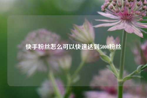 快手粉丝怎么可以快速达到5000粉丝  第1张