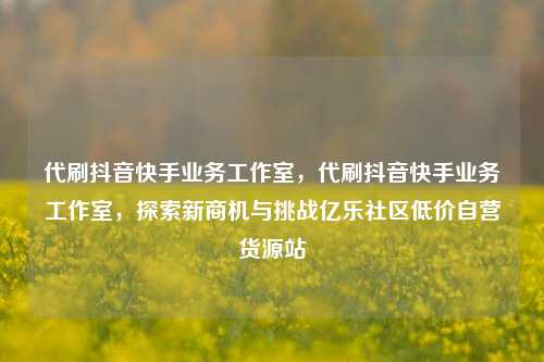 代刷抖音快手业务工作室，代刷抖音快手业务工作室，探索新商机与挑战亿乐社区低价自营货源站  第1张