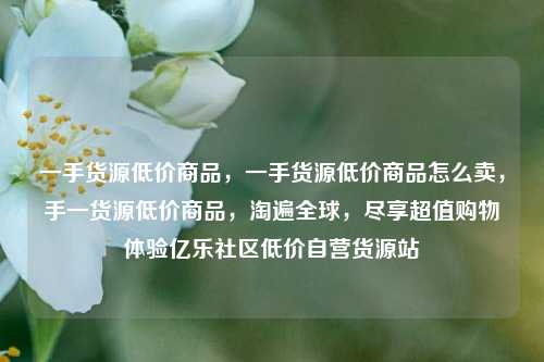 一手货源低价商品，一手货源低价商品怎么卖	，手一货源低价商品，淘遍全球，尽享超值购物体验亿乐社区低价自营货源站  第1张