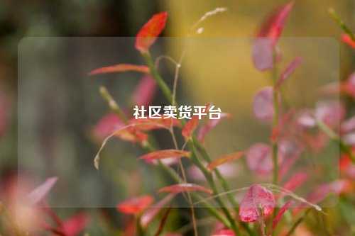 社区卖货平台  第1张