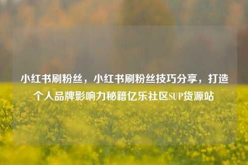 小红书刷粉丝，小红书刷粉丝技巧分享	，打造个人品牌影响力秘籍亿乐社区SUP货源站  第1张