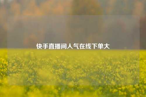快手直播间人气在线下单大  第1张