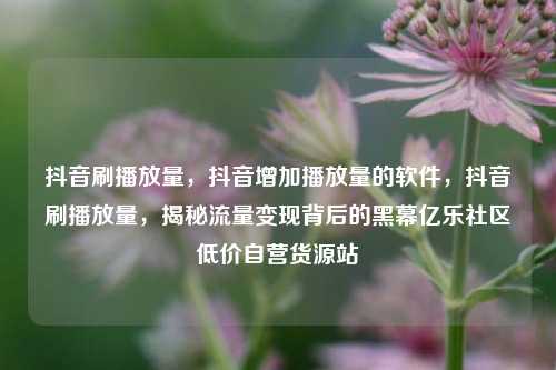 抖音刷播放量，抖音增加播放量的软件	，抖音刷播放量，揭秘流量变现背后的黑幕亿乐社区低价自营货源站  第1张