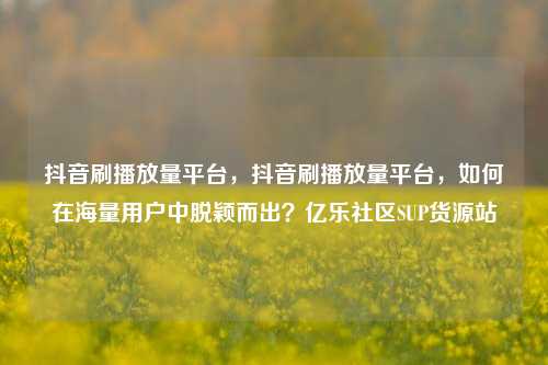 抖音刷播放量平台，抖音刷播放量平台	，如何在海量用户中脱颖而出？亿乐社区SUP货源站  第1张