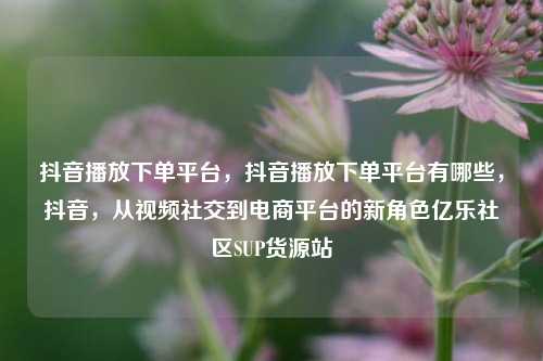 抖音播放下单平台	，抖音播放下单平台有哪些，抖音，从视频社交到电商平台的新角色亿乐社区SUP货源站  第1张