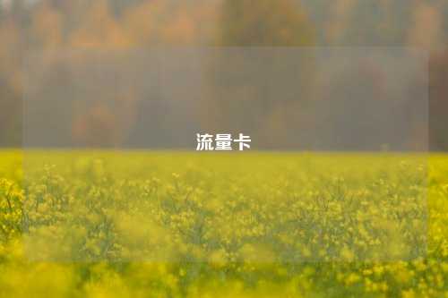 流量卡  第1张
