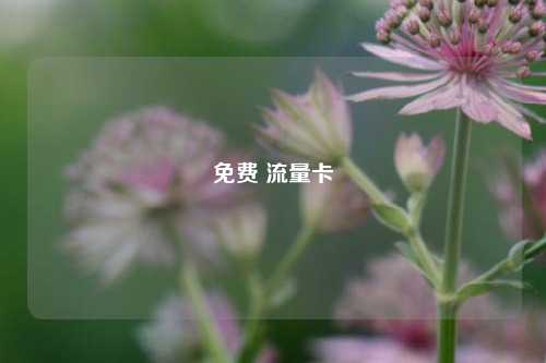 免费 流量卡  第1张