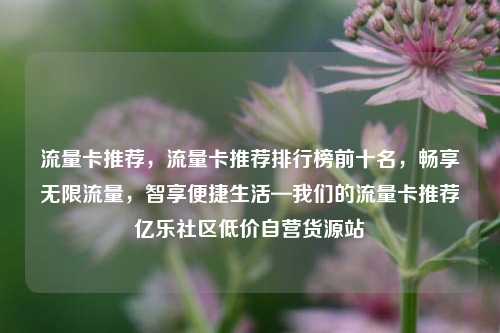 流量卡推荐，流量卡推荐排行榜前十名，畅享无限流量	，智享便捷生活—我们的流量卡推荐亿乐社区低价自营货源站  第1张