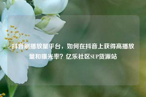 抖音刷播放量平台，如何在抖音上获得高播放量和曝光率？亿乐社区SUP货源站  第1张