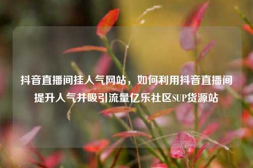 抖音直播间挂人气网站，如何利用抖音直播间提升人气并吸引流量亿乐社区SUP货源站  第1张
