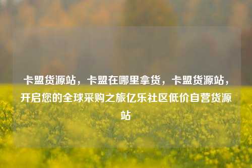 卡盟货源站	，卡盟在哪里拿货，卡盟货源站，开启您的全球采购之旅亿乐社区低价自营货源站  第1张